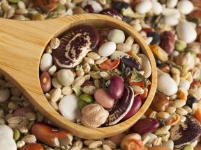 Why Cook Dried Beans?