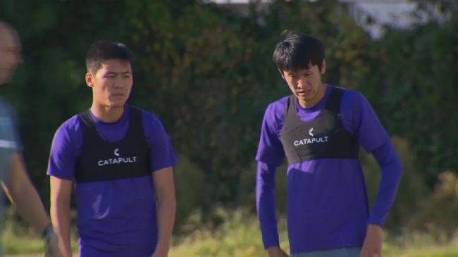 97人人揉人人捏人人添