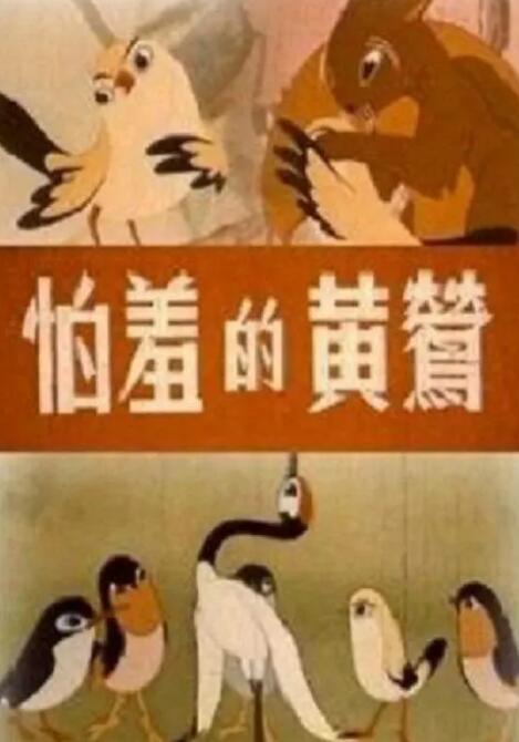 福利午夜视频