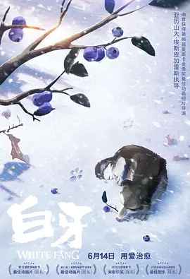 网站av