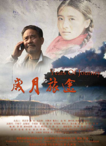 国产精品成久久久久三级