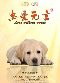cgwang官网