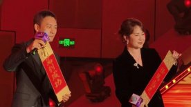 搞b视频
