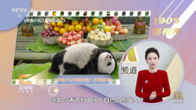 在线观看你懂我的意思吗视频