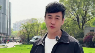 活泼的旅社黑凤梨